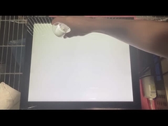 19인치 PCAP 터치 스크린